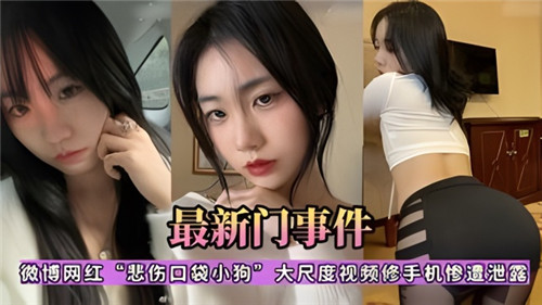 微博网红悲伤口袋小狗性爱视频遭修手机泄露！高清无码私密片段全网疯传，淫水泛滥特写镜头全曝光！